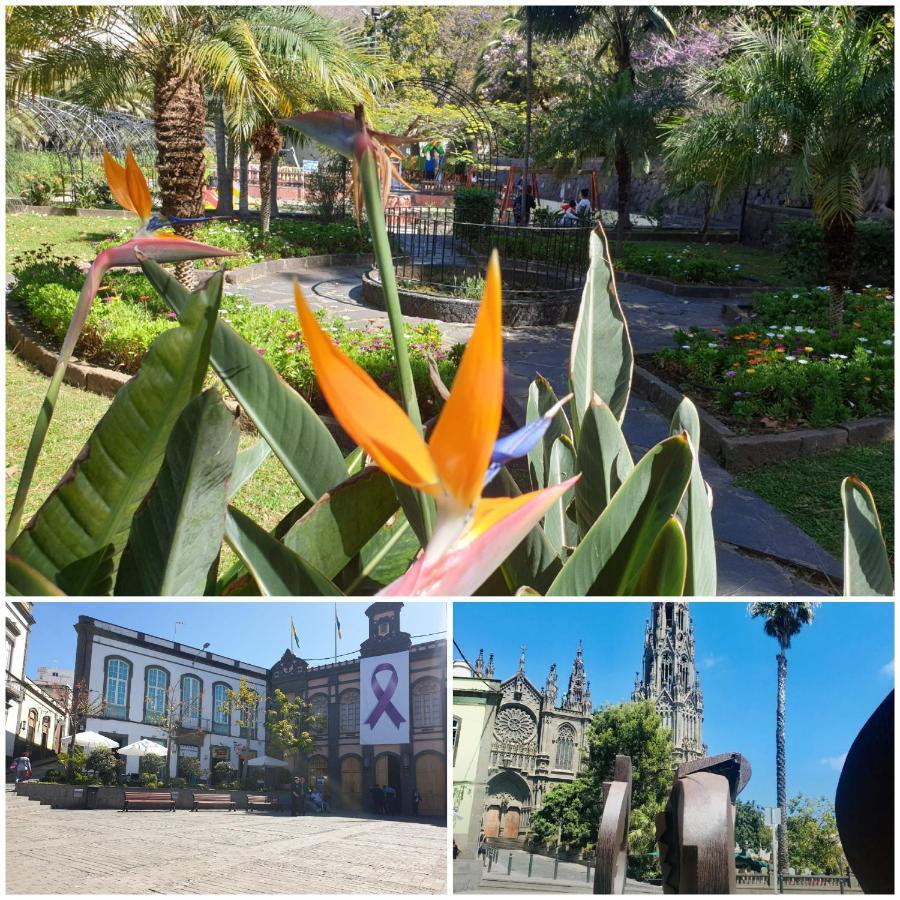 Villa Casa Isabel Centro Historico à Arucas Extérieur photo